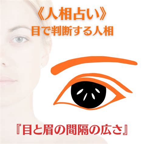 眉 運勢|眉でわかる人相！眉の形や特徴ごとの性格【観相学】